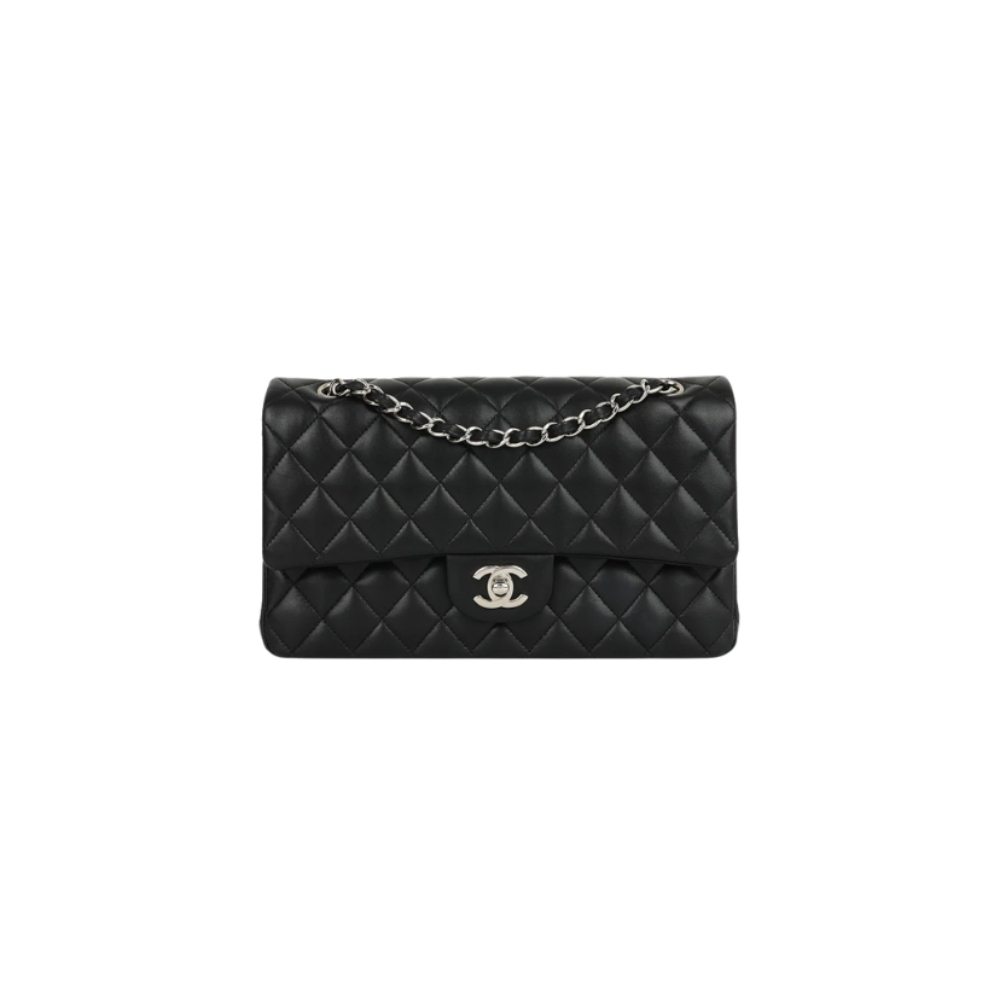 Chanel Medium Classic Double Flap Bag Chanel Medium Classic Double Flap Bag