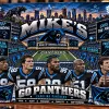 Carolina Panthers Bank of America Stadium Personalized Wooden Wall Art